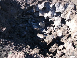 nte Pizzillo-21-10-2012 10-05-03